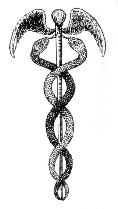 hermes snakes names|Hermes caduceus symbol.